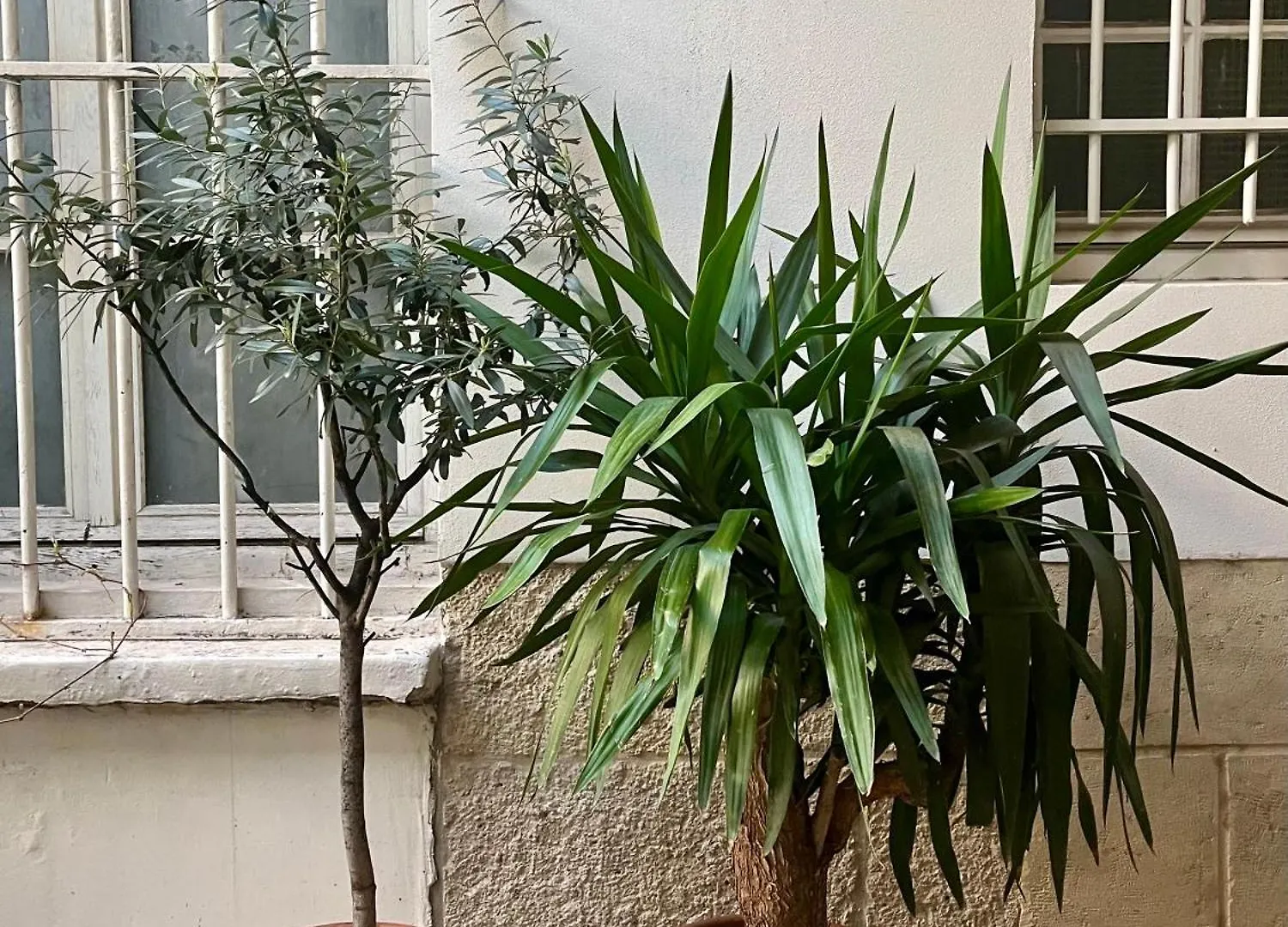 Apartment Jardin Des Plantes